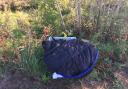 Remains of abandoned dog discovered near Stirling