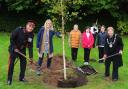 The tree was planted at Borestone Primary School - Image by Whyler Photos Stirling