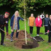 The tree was planted at Borestone Primary School - Image by Whyler Photos Stirling